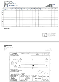 informe1
